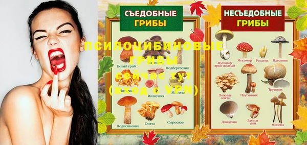 ГАЛЛЮЦИНОГЕННЫЕ ГРИБЫ Алексеевка