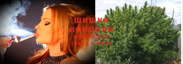 ГАЛЛЮЦИНОГЕННЫЕ ГРИБЫ Алексеевка