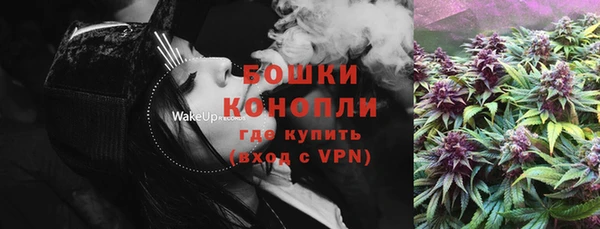 ГАЛЛЮЦИНОГЕННЫЕ ГРИБЫ Алексеевка